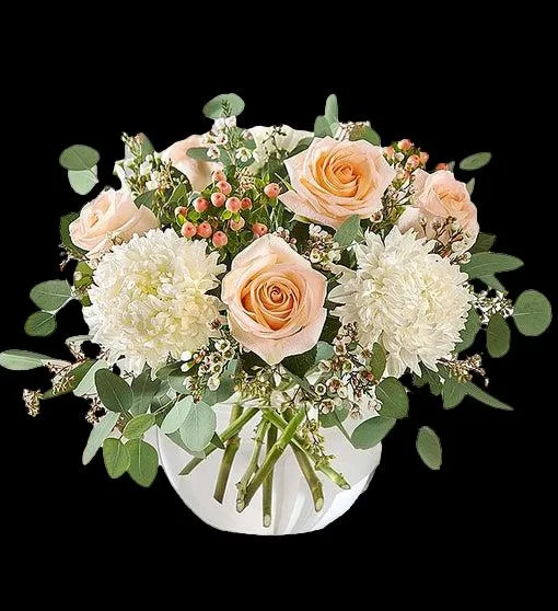 kiqkqiduwg6vp3bachxd