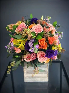 naostj3obdtv9z8ujg2m