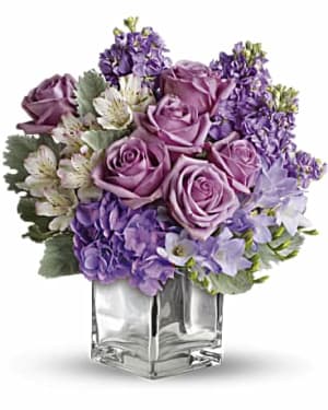 fmvit4xqcwgvz7jcl5tx