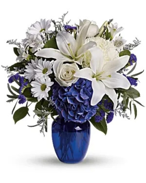 i4wg31nzpwo9g5ae2nsy